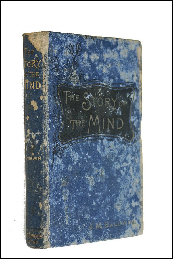 Image for The Story of the Mind
