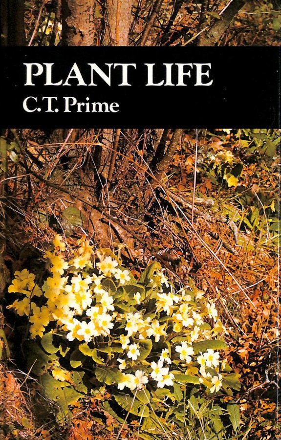 Image for Plant Life (Countryside)