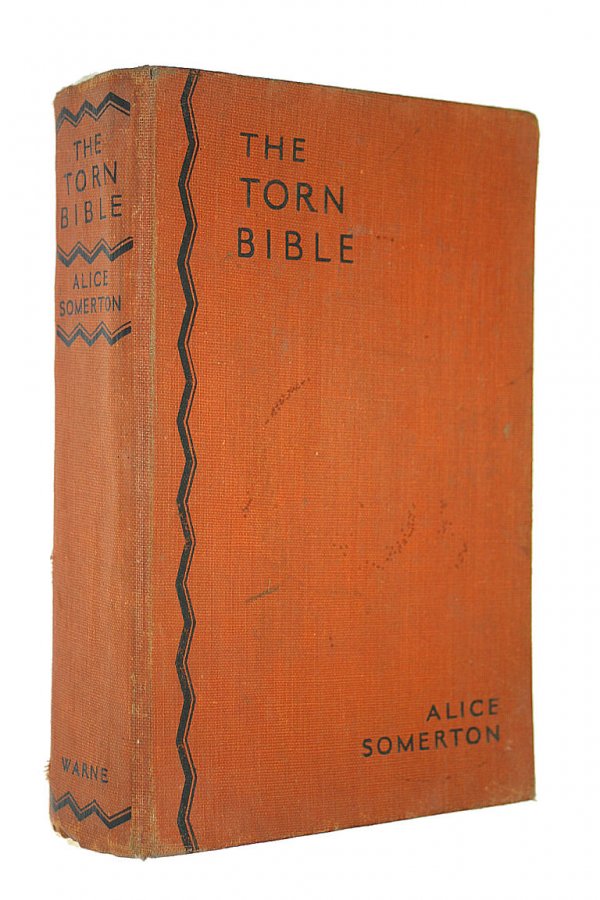 Image for The Torn Bible or Hubert's Best Friend.