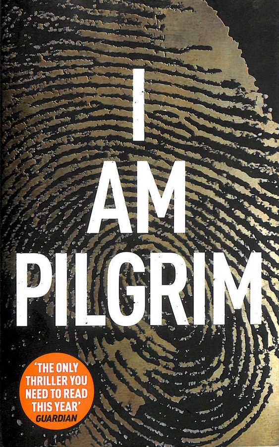I Am Pilgrim Image for I Am Pilgrim