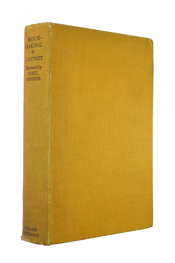Image for Moonraking