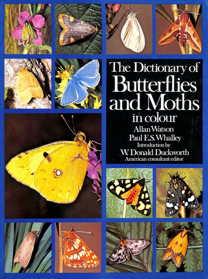 Dictionary of Butterflies and Moths