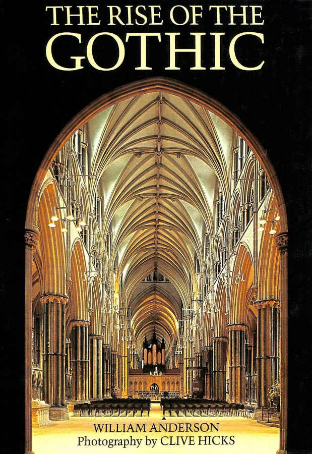 Image for The Rise of the Gothic