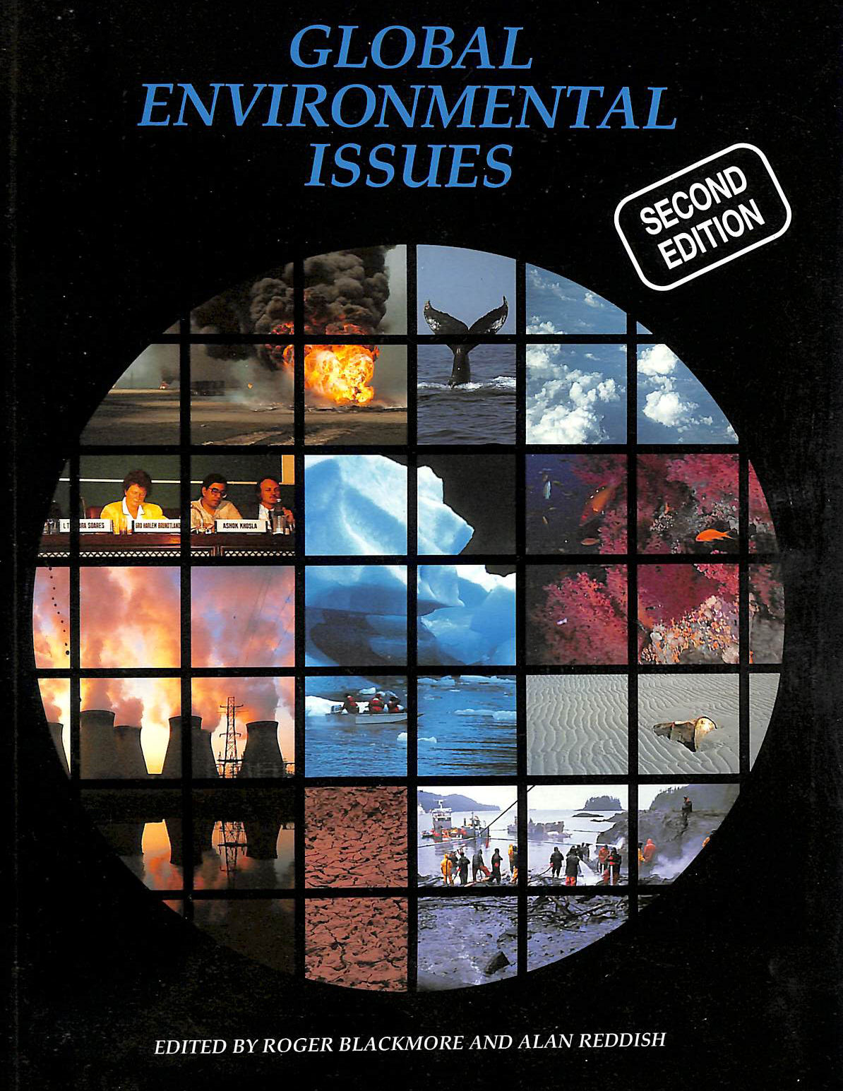 Image for Global Environmental Issues, 2nd edn (Open University U206)