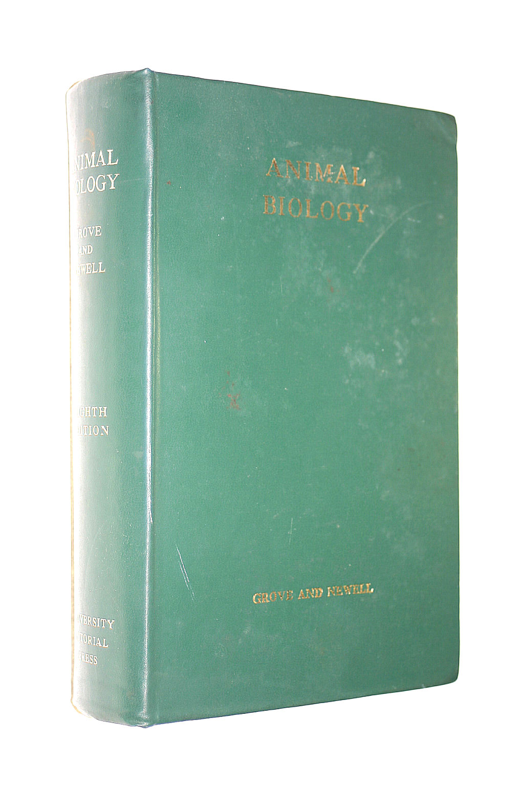 Image for Animal Biology