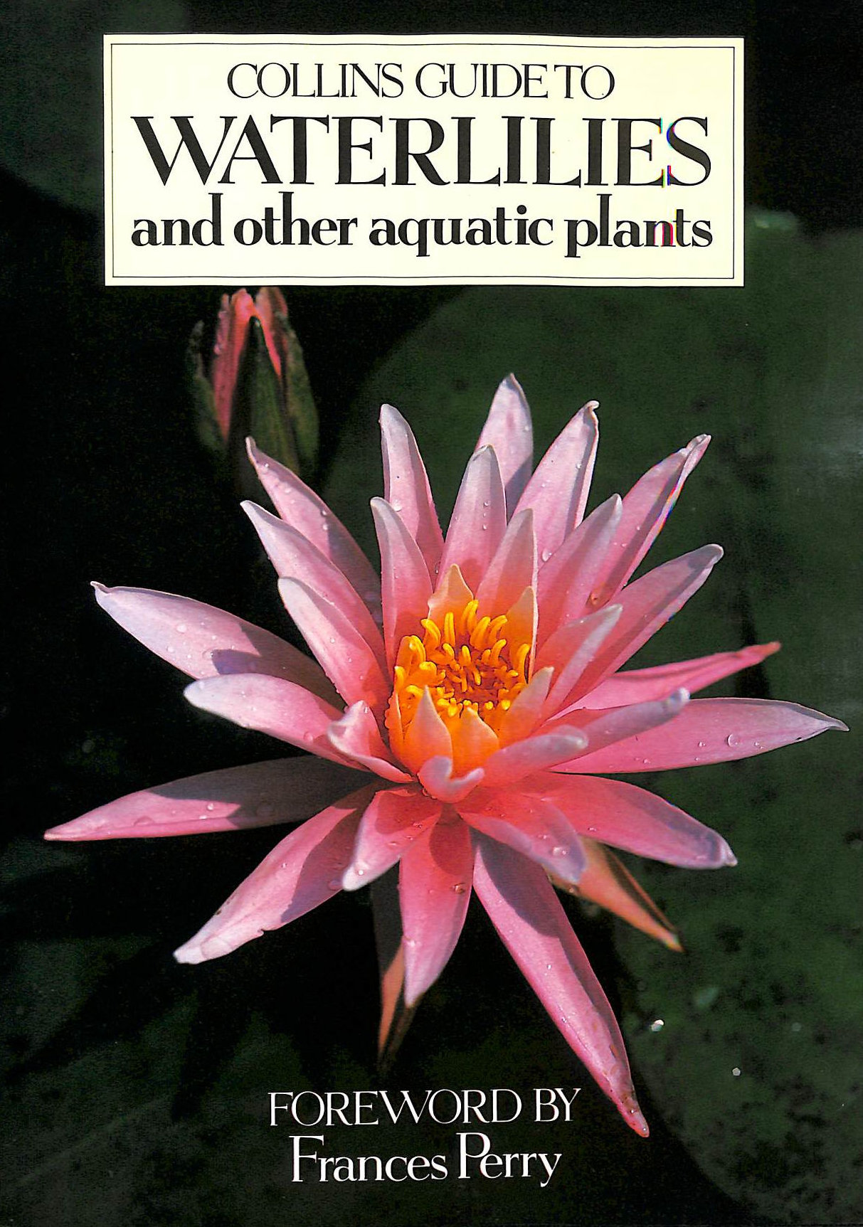 Image for Collins Guide to Waterlilies and Other Aquatic Plants
