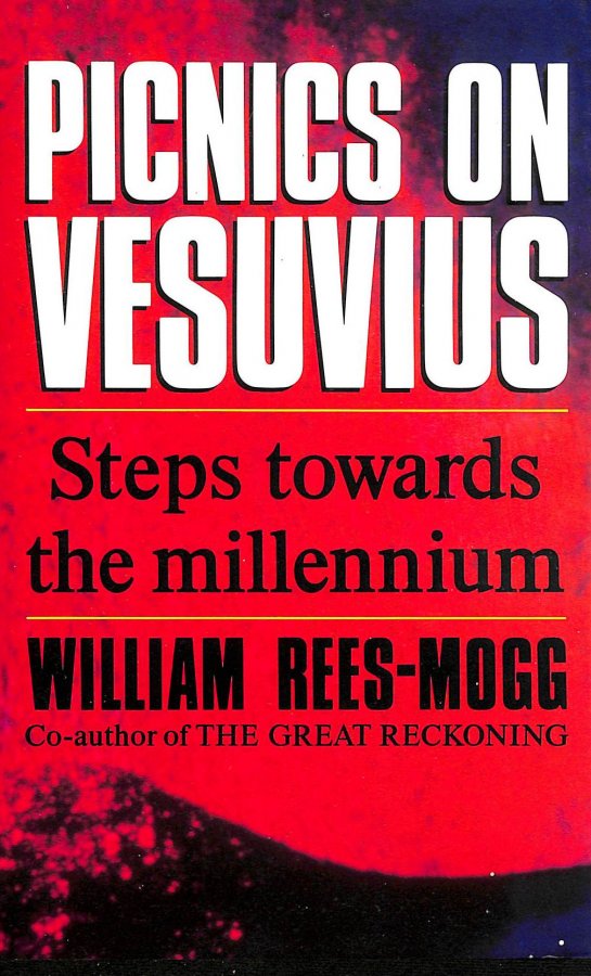 Image for Picnics On Vesuvius: Towards The Millennium: Steps Towards The Millennium