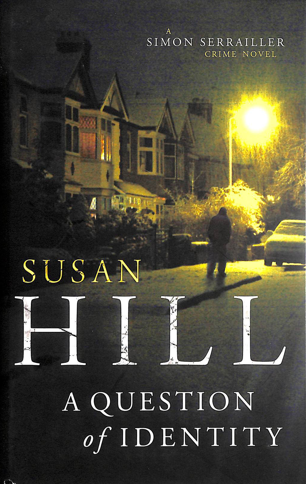 Image for A Question Of Identity: Simon Serrailler Book 7