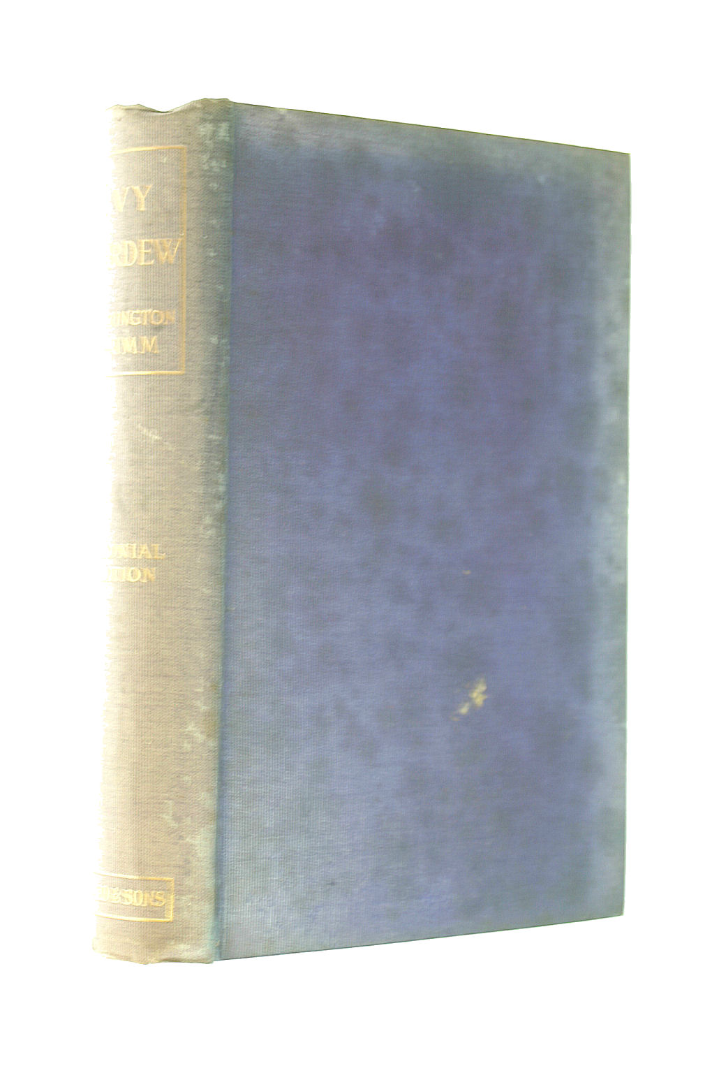 Image for Ivy Cardew; a novel.