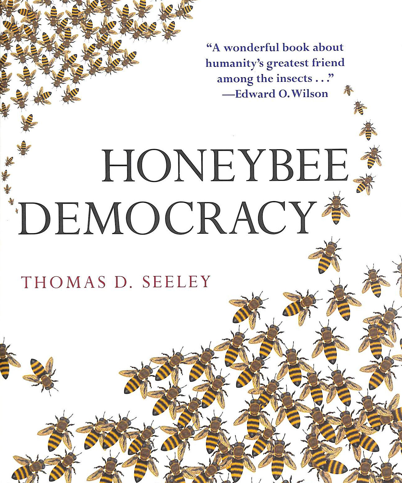 Image for Honeybee Democracy