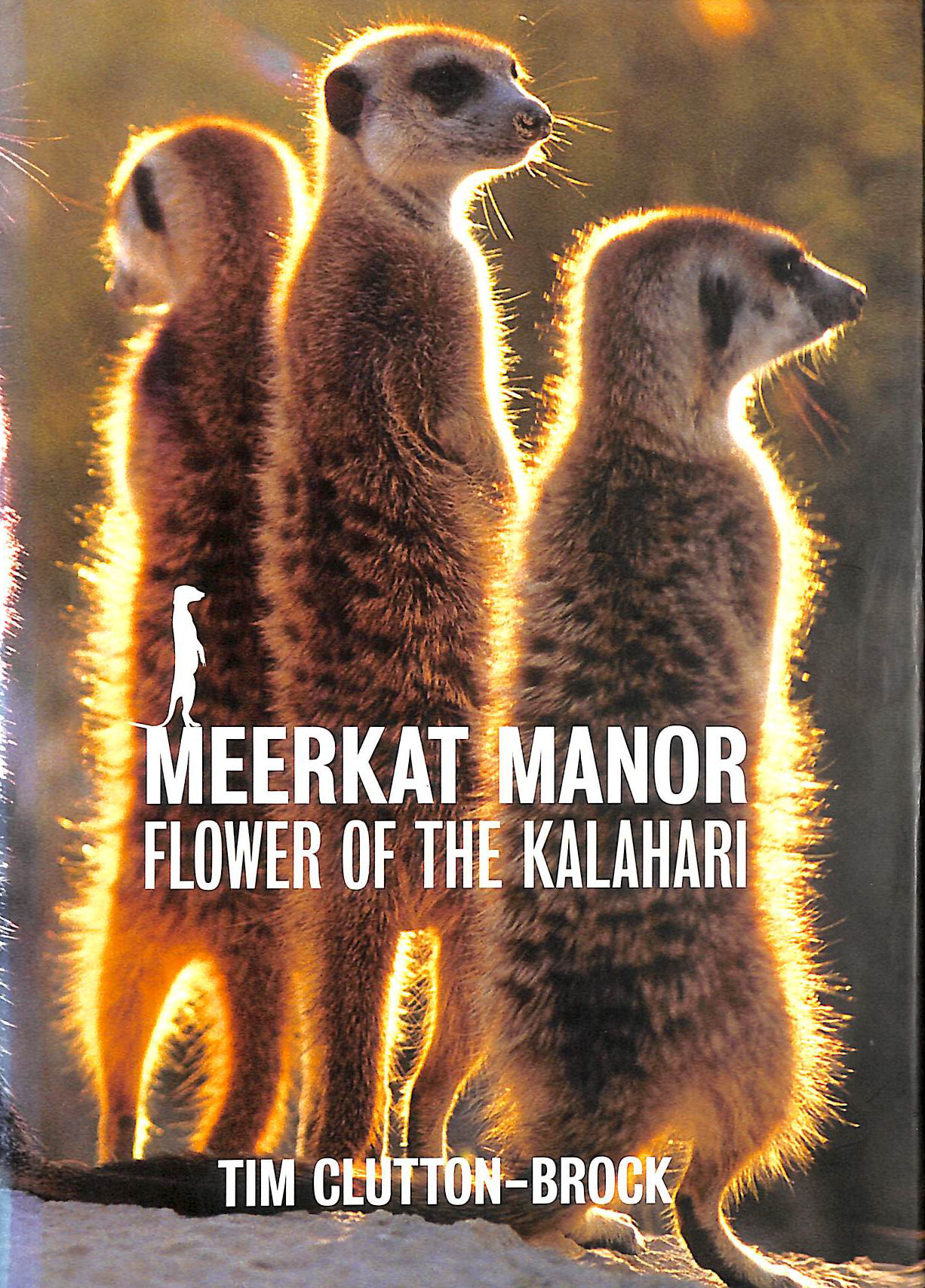 Meerkat Manor: Flower Of The Kalahari