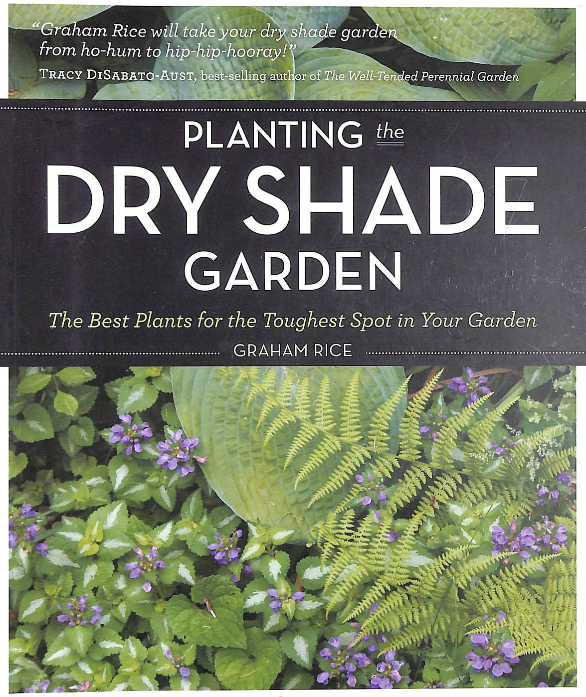 Planting The Dry Shade Garden The Best Plants For The Toughest Spot In