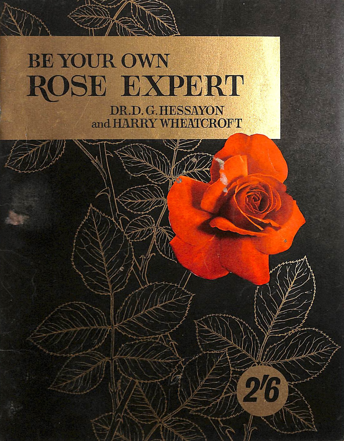 Vegetable, Fruit And Herb Growing In Small Spaces UK - Foto 10