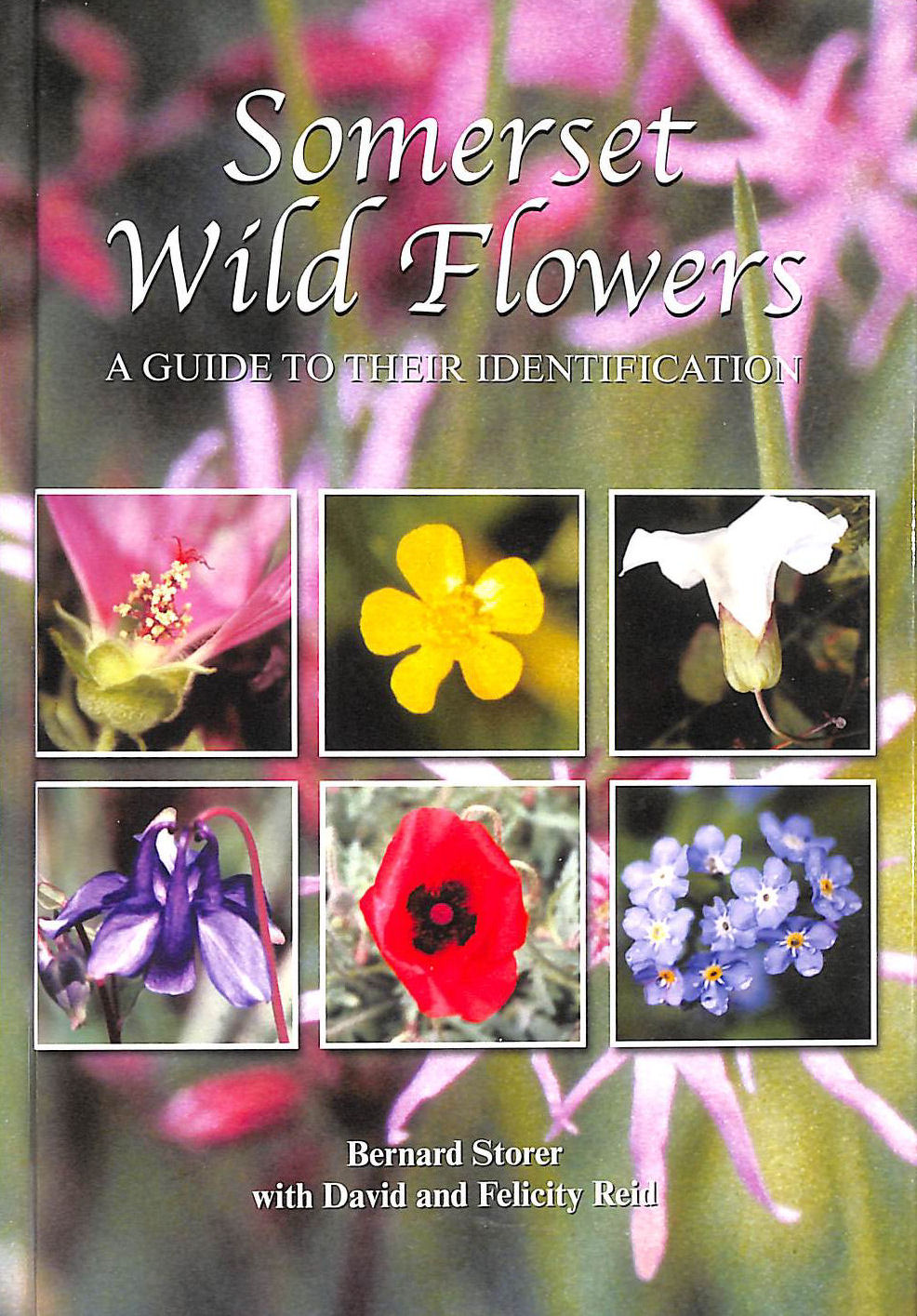 Somerset Wild Flowers: A Guide to Their Identification